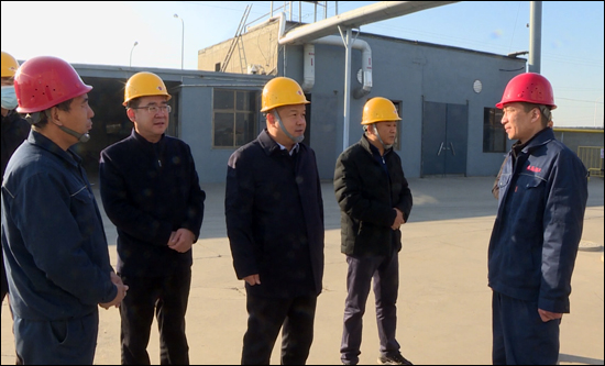 市委副书记武利芳督导企业安全生产工作-新乐要闻-市
