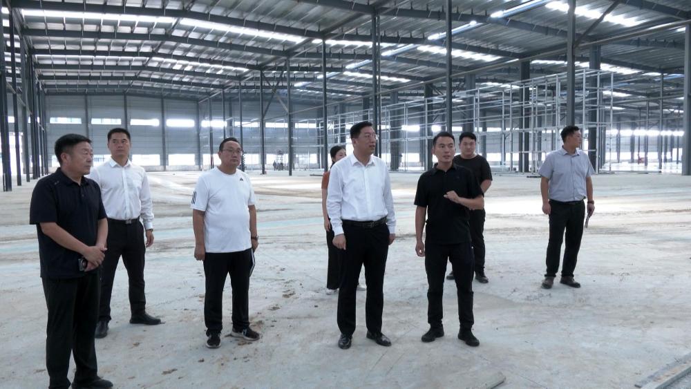 李明政调研重点项目建设工作