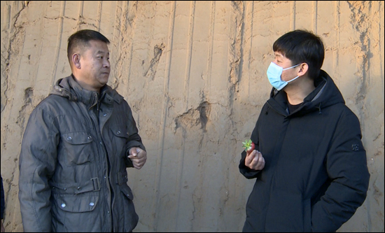 市政府副市长杨亮调研冬季设施农业生产情况-新乐要闻-新乐市人民政府
